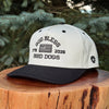 God Bless Bird Dogs | America 250 - Twill Snapback Hat - Stone/Black